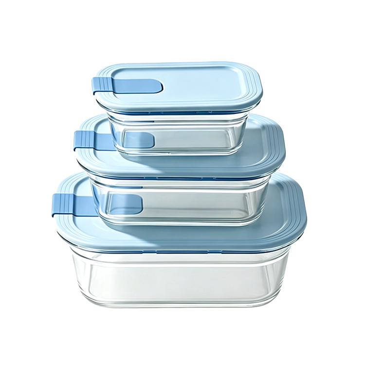 Pyglass  2027 Meal Prep Containers for Microwave/Oven/Freezer, Borosilicate Glass, Gift Glass Lunch Box